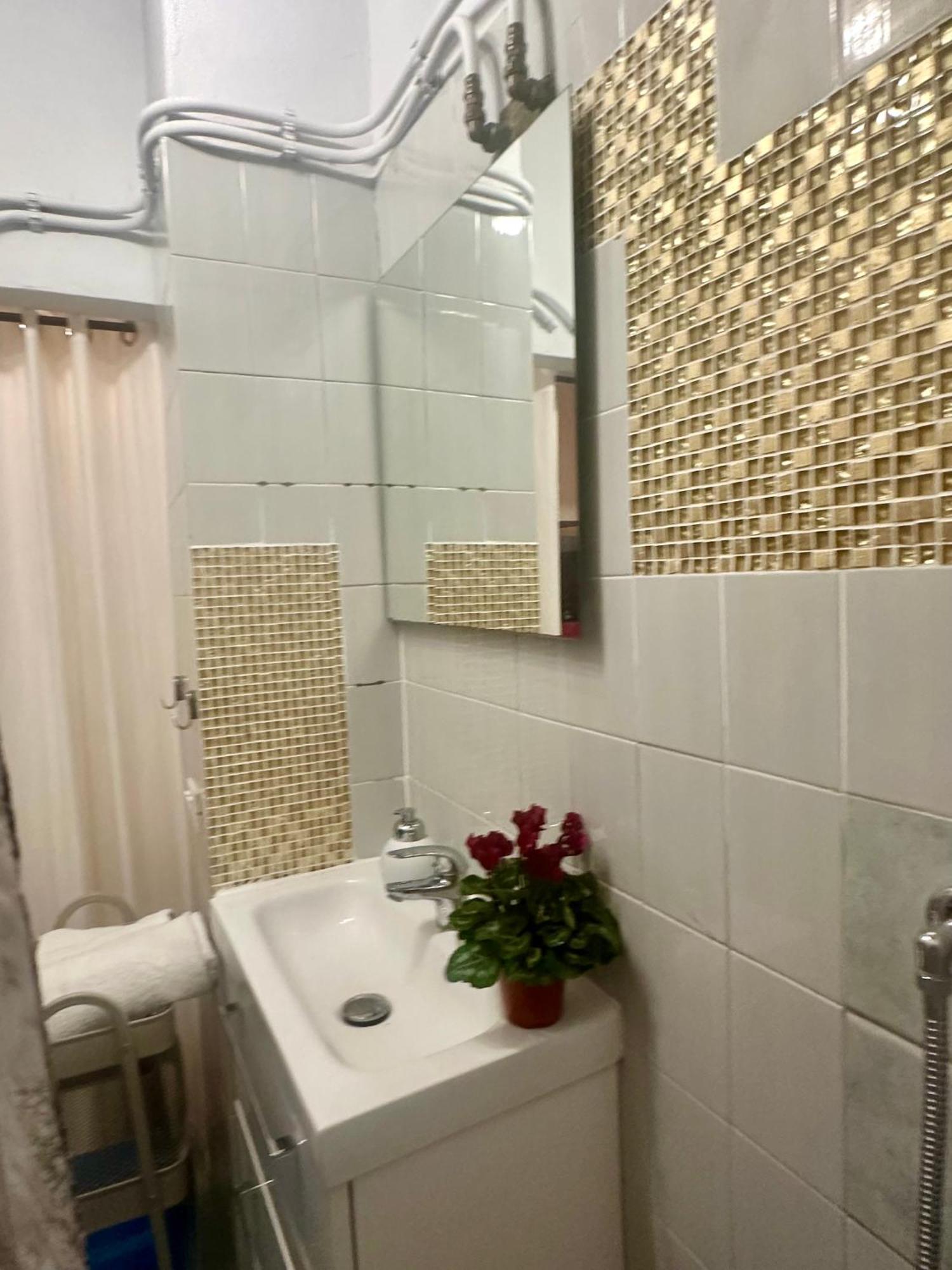 Natural Red Passion In Downtown Apartment Perugia